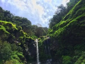 Hike to Gunehar Pool