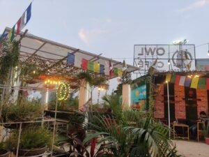 Owl Cafe- Aesthetic Cafe in Gomti Nagar