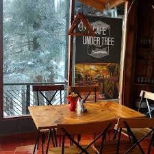 cafes of shimla