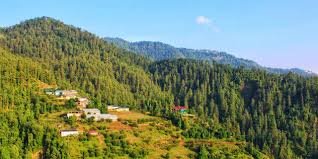 Best Places To Visit In Shimla